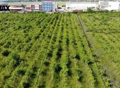 Prodej pozemku pro komerční výstavbu, 2 465 m²