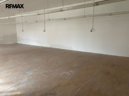 Pronájem obchodní prostory, 225 m²