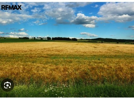 Prodej pozemku, zemědělská půda, 31 550 m²