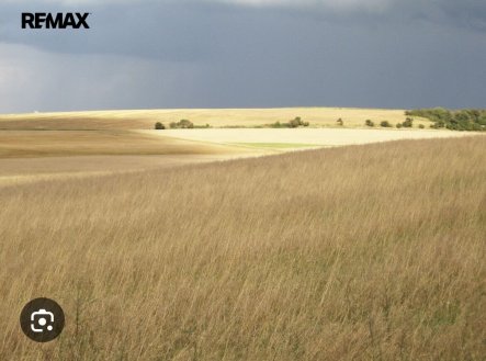 Prodej pozemku, zemědělská půda, 31 550 m²
