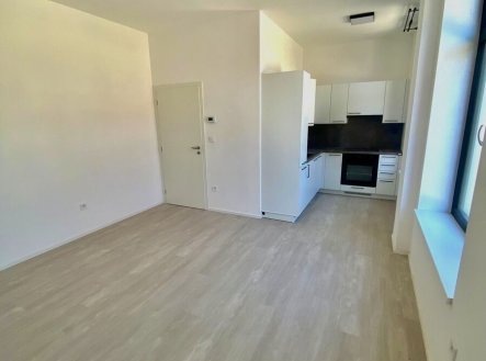 Pronájem bytu, 3+kk, 59 m²