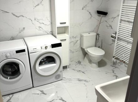 Pronájem bytu, 1+1, 45 m²