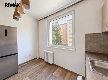 Pronájem bytu, 1+1, 49 m²
