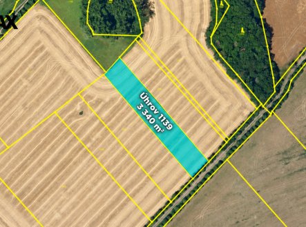 Prodej pozemku, zemědělská půda, 29 196 m²