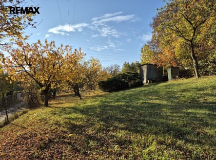 20251021-093601.jpg | Prodej - pozemek, zahrada, 823 m²