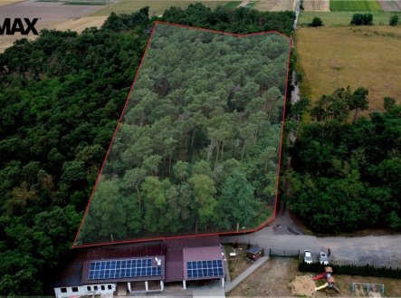 Prodej pozemku, les, 16 110 m²