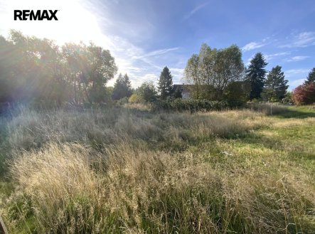 Prodej pozemku, trvalý travní porost, 2 155 m²
