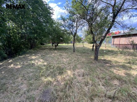 Prodej pozemku pro bydlení, 2 919 m²
