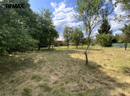 Prodej pozemku pro bydlení, 2 919 m²