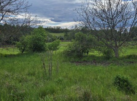 Prodej pozemku, trvalý travní porost, 946 m²
