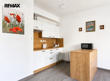 Pronájem bytu, 1+kk, 1 668 m²