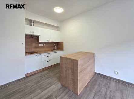 Pronájem bytu, 1+kk, 1 668 m²