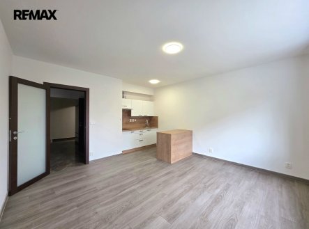 Pronájem bytu, 1+kk, 1 668 m²