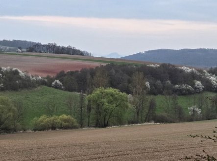 Prodej pozemku, zemědělská půda, 2 577 m²