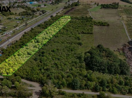 Prodej pozemku, les, 14 938 m²