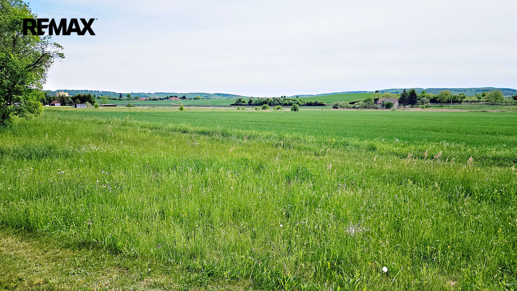 20250505-133033.jpg