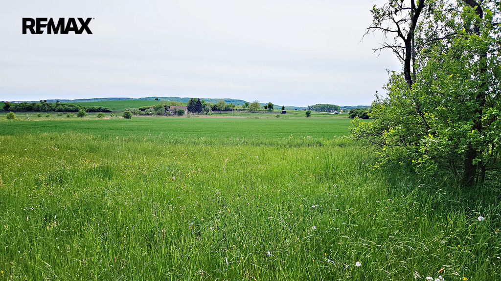 20250505-133117.jpg