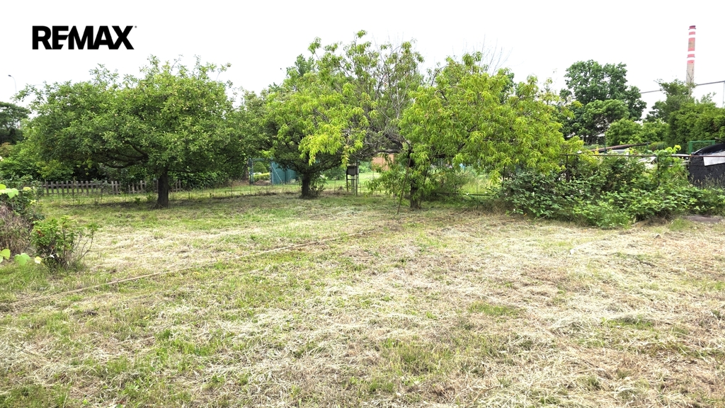 20260616-181316-1.jpg