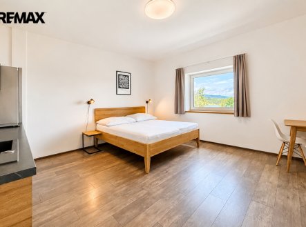 Prodej bytu, 1+kk, 28 m²
