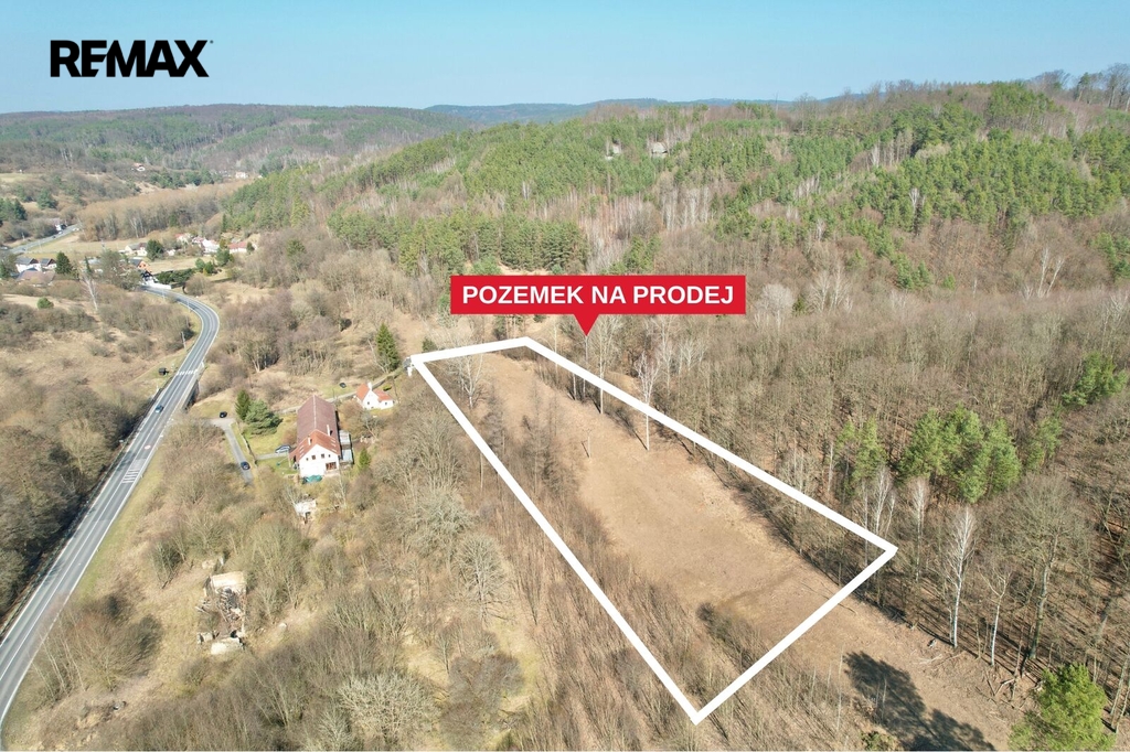 zluta02.jpg