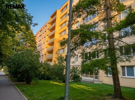 Pronájem bytu, 3+1, 60 m²