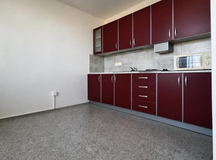 Pronájem bytu, 1+1, 43 m²