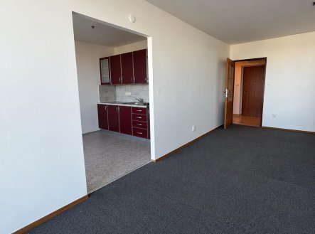 Pronájem bytu, 1+1, 43 m²