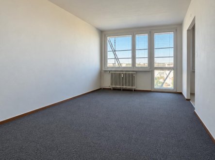 Pronájem bytu, 1+1, 43 m²
