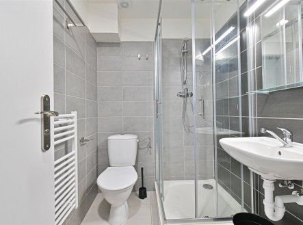 Pronájem bytu, garsoniéra, 16 m²