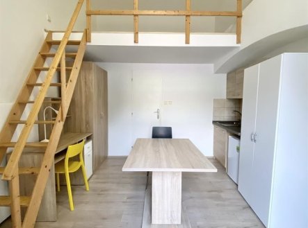 Pronájem bytu, 1+kk, 20 m²