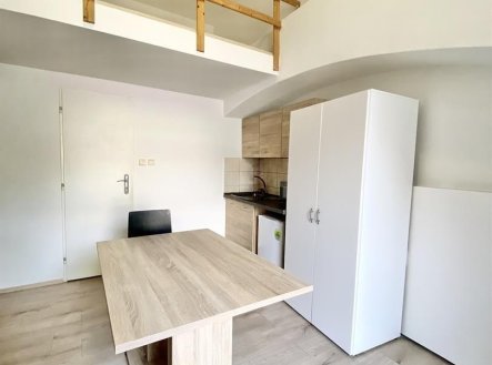 Pronájem bytu, 1+kk, 20 m²