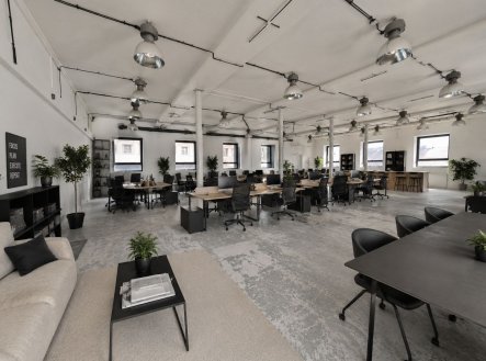 Pronájem kanceláře, 365 m²