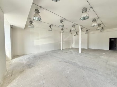 Pronájem obchodní prostory, 365 m²