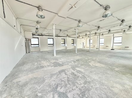 Pronájem obchodní prostory, 365 m² obrázek