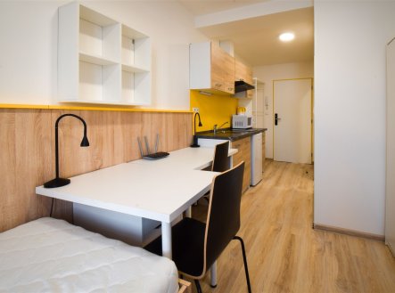 Pronájem bytu, garsoniéra, 17 m²
