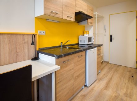 Pronájem bytu, garsoniéra, 17 m²