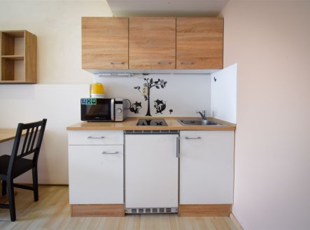 Pronájem bytu, garsoniéra, 20 m²