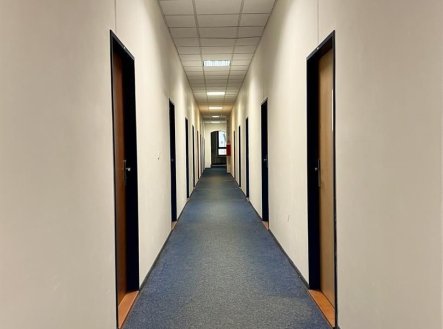 Pronájem kanceláře, 25 m²