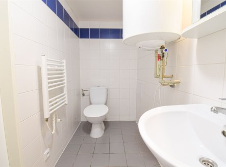 Pronájem bytu, 1+kk, 20 m²
