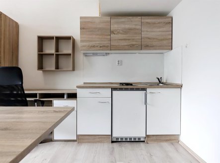 Pronájem bytu, 1+kk, 20 m²