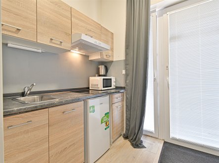 Pronájem bytu, garsoniéra, 19 m²