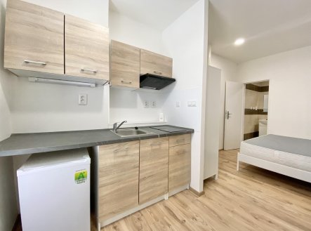 Pronájem bytu, garsoniéra, 17 m²