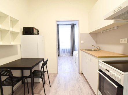 Pronájem bytu, 1+1, 24 m²