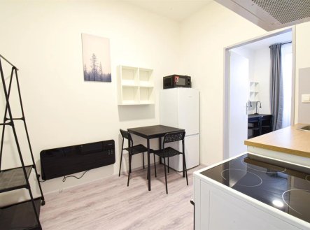 Pronájem bytu, 1+1, 24 m²