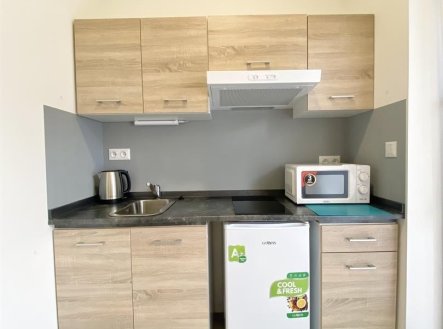 Pronájem bytu, 1+kk, 19 m²