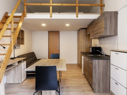 Pronájem bytu, 1+kk, 20 m²