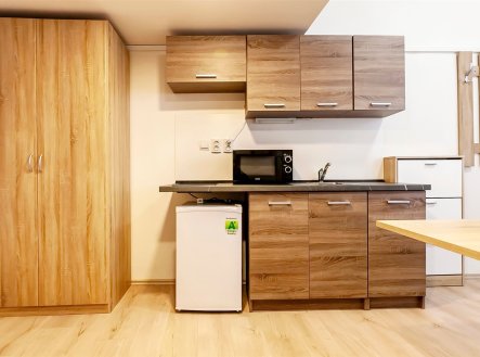 Pronájem bytu, 1+kk, 20 m²