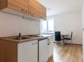 Pronájem bytu, garsoniéra, 19 m²