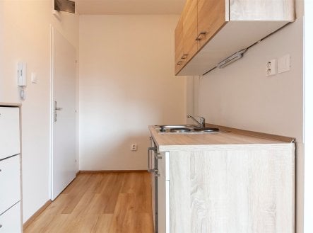 Pronájem bytu, garsoniéra, 19 m²