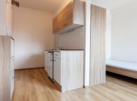 Pronájem bytu, garsoniéra, 19 m²
